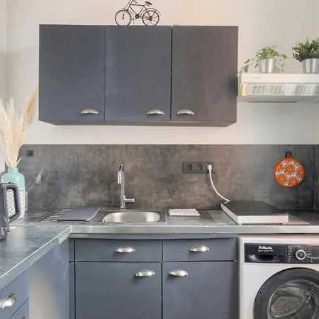 Cosy Et Charmant Ideal Deplacement Pro Appartement